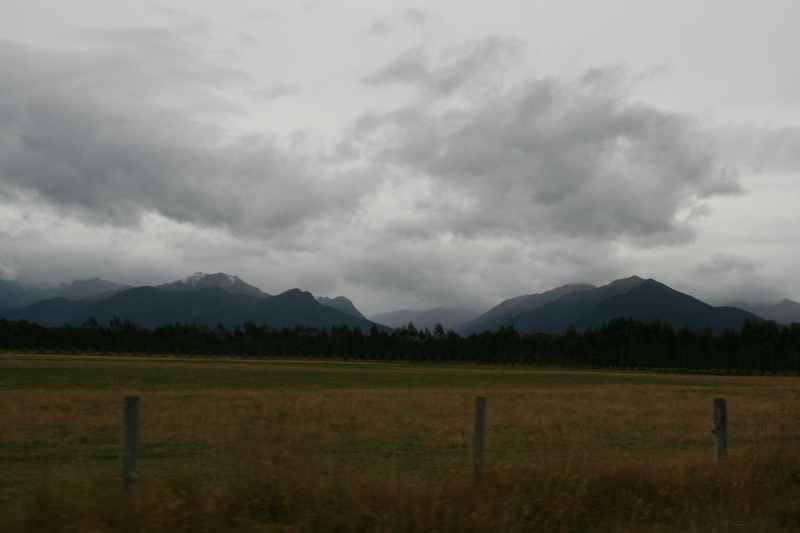Nieuw-Zeeland 2011 - 1672